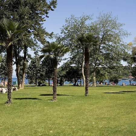 Yadranka *