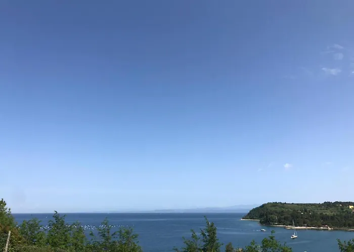 公寓 Yadranka 斯楚雅